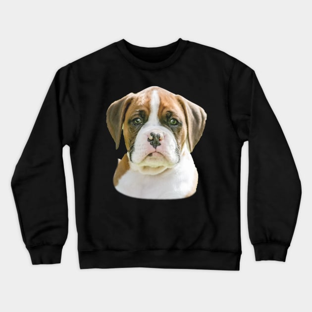 Flashy Fawn Boxer puppy Crewneck Sweatshirt by 3QuartersToday